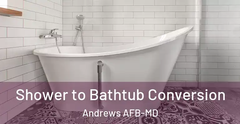 inner Bathroom imggen Shower to Bathtub Conversion Andrews AFB-MD