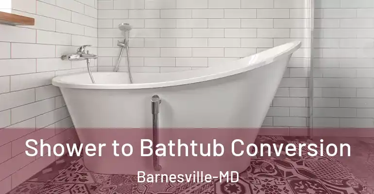 inner Bathroom imggen Shower to Bathtub Conversion Barnesville-MD