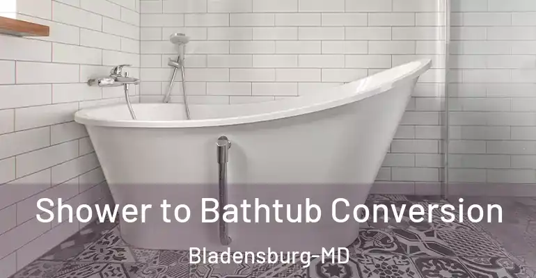 inner Bathroom imggen Shower to Bathtub Conversion Bladensburg-MD