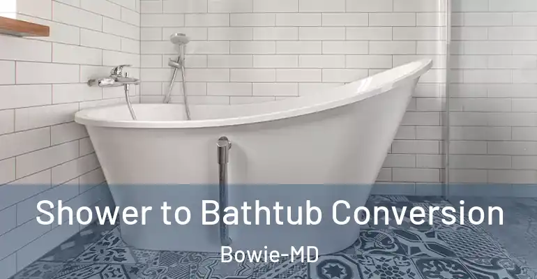 inner Bathroom imggen Shower to Bathtub Conversion Bowie-MD