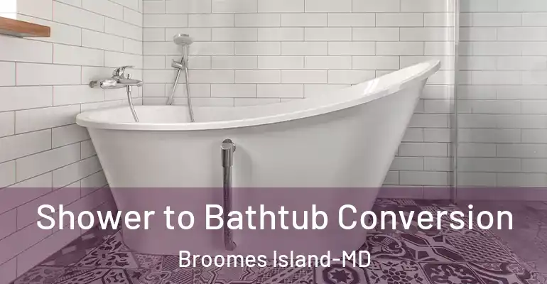 inner Bathroom imggen Shower to Bathtub Conversion Broomes Island-MD