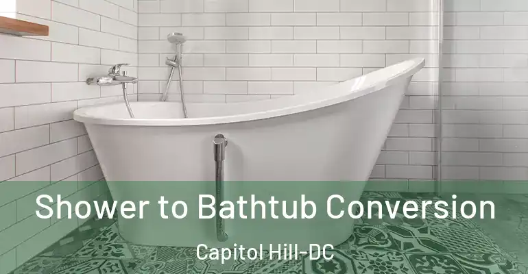 inner Bathroom imggen Shower to Bathtub Conversion Capitol Hill-DC