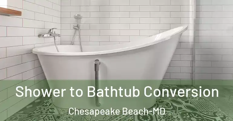 inner Bathroom imggen Shower to Bathtub Conversion Chesapeake Beach-MD