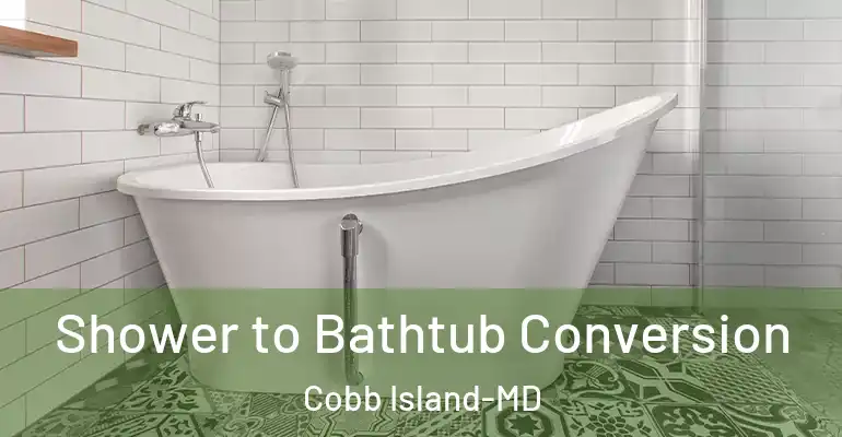 inner Bathroom imggen Shower to Bathtub Conversion Cobb Island-MD