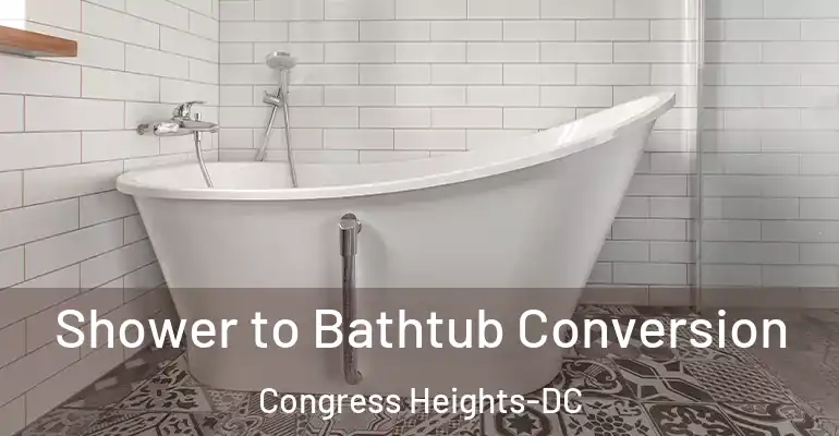 inner Bathroom imggen Shower to Bathtub Conversion Congress Heights-DC