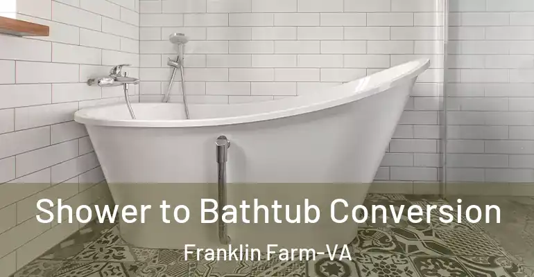 inner Bathroom imggen Shower to Bathtub Conversion Franklin Farm-VA