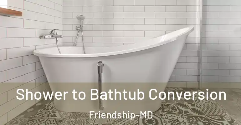 inner Bathroom imggen Shower to Bathtub Conversion Friendship-MD