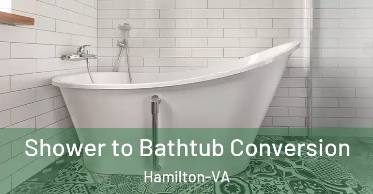inner Bathroom imggen Shower to Bathtub Conversion Hamilton-VA
