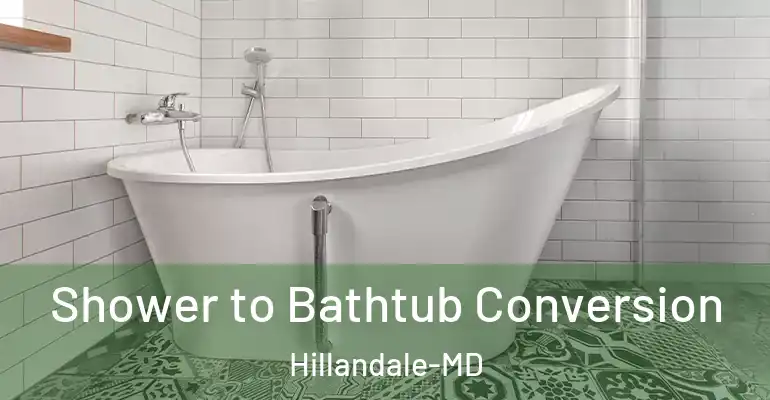 inner Bathroom imggen Shower to Bathtub Conversion Hillandale-MD