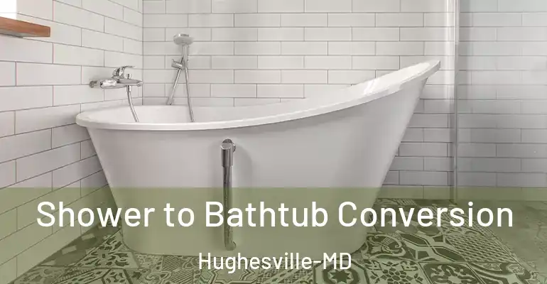 inner Bathroom imggen Shower to Bathtub Conversion Hughesville-MD