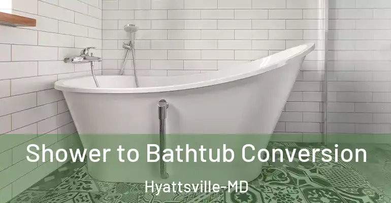 inner Bathroom imggen Shower to Bathtub Conversion Hyattsville-MD