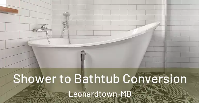 inner Bathroom imggen Shower to Bathtub Conversion Leonardtown-MD