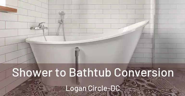 inner Bathroom imggen Shower to Bathtub Conversion Logan Circle-DC