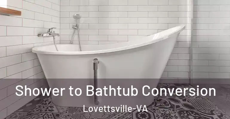 inner Bathroom imggen Shower to Bathtub Conversion Lovettsville-VA