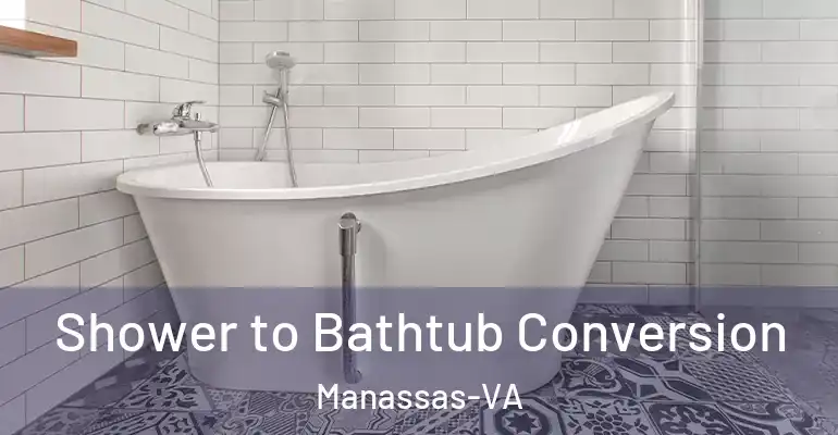 inner Bathroom imggen Shower to Bathtub Conversion Manassas-VA