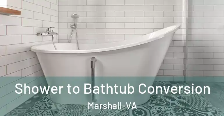inner Bathroom imggen Shower to Bathtub Conversion Marshall-VA