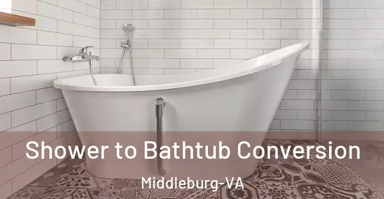 inner Bathroom imggen Shower to Bathtub Conversion Middleburg-VA