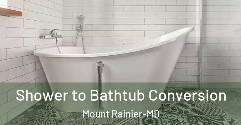 inner Bathroom imggen Shower to Bathtub Conversion Mount Rainier-MD