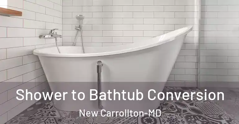 inner Bathroom imggen Shower to Bathtub Conversion New Carrollton-MD