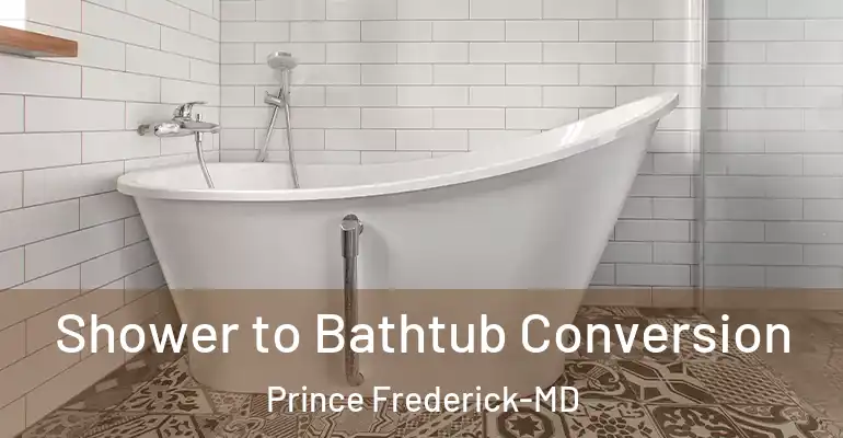 inner Bathroom imggen Shower to Bathtub Conversion Prince Frederick-MD