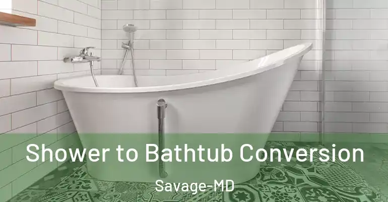 inner Bathroom imggen Shower to Bathtub Conversion Savage-MD