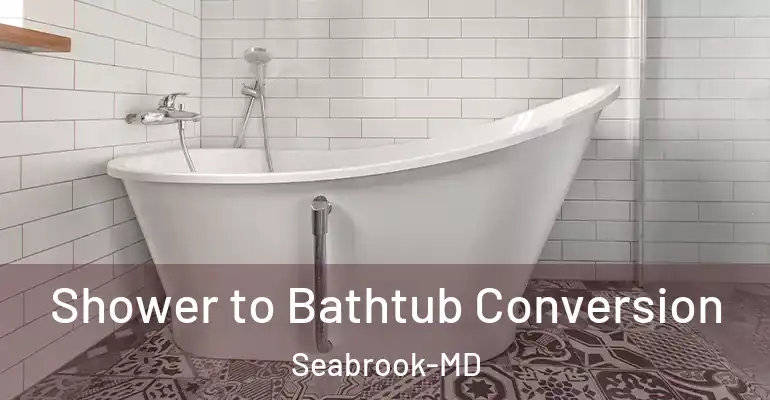 inner Bathroom imggen Shower to Bathtub Conversion Seabrook-MD