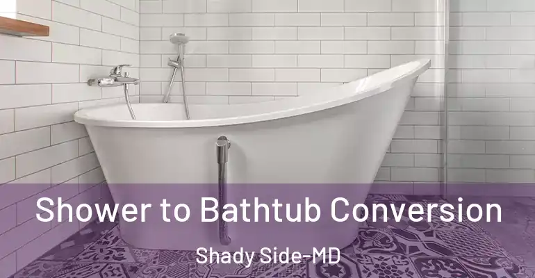 inner Bathroom imggen Shower to Bathtub Conversion Shady Side-MD