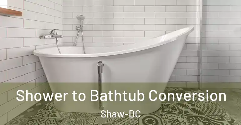 inner Bathroom imggen Shower to Bathtub Conversion Shaw-DC