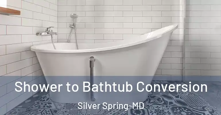 inner Bathroom imggen Shower to Bathtub Conversion Silver Spring-MD