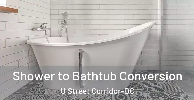 inner Bathroom imggen Shower to Bathtub Conversion U Street Corridor-DC