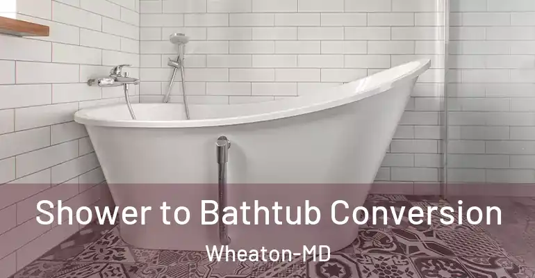 inner Bathroom imggen Shower to Bathtub Conversion Wheaton-MD