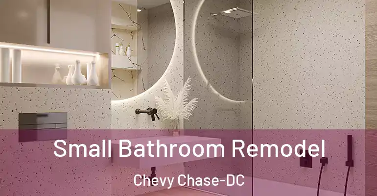 inner Bathroom imggen Small Bathroom Remodel Chevy Chase-DC