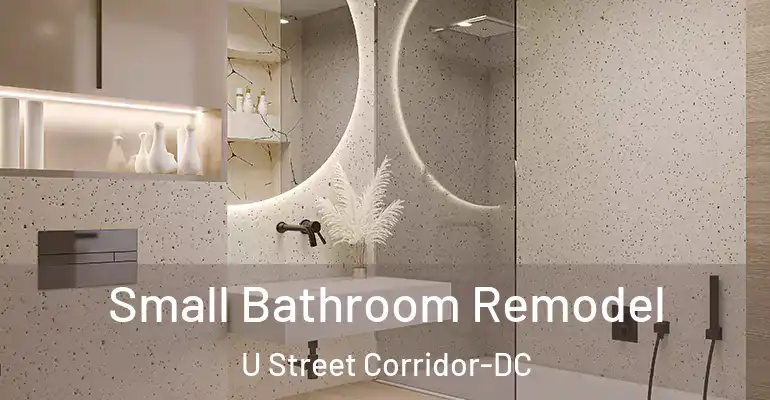 inner Bathroom imggen Small Bathroom Remodel U Street Corridor-DC