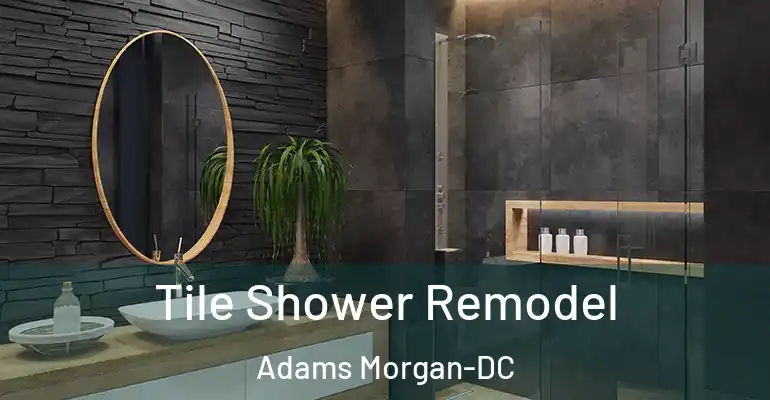inner Bathroom imggen Tile Shower Remodel Adams Morgan-DC