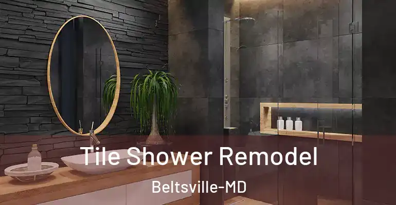 inner Bathroom imggen Tile Shower Remodel Beltsville-MD