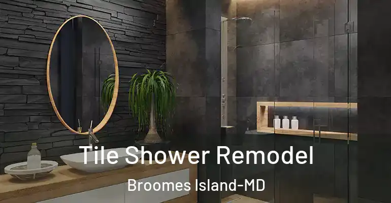 inner Bathroom imggen Tile Shower Remodel Broomes Island-MD