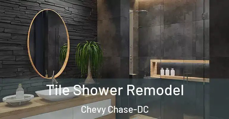 inner Bathroom imggen Tile Shower Remodel Chevy Chase-DC
