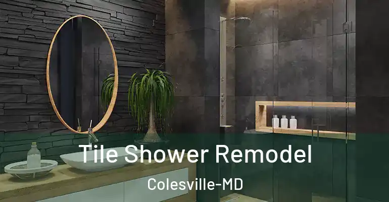 inner Bathroom imggen Tile Shower Remodel Colesville-MD
