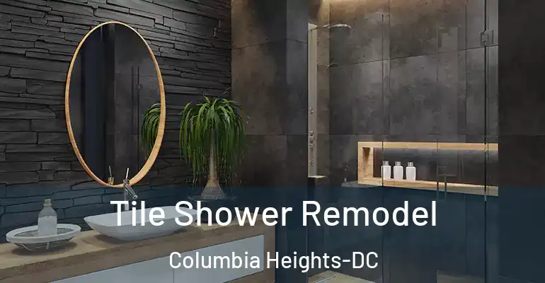 inner Bathroom imggen Tile Shower Remodel Columbia Heights-DC