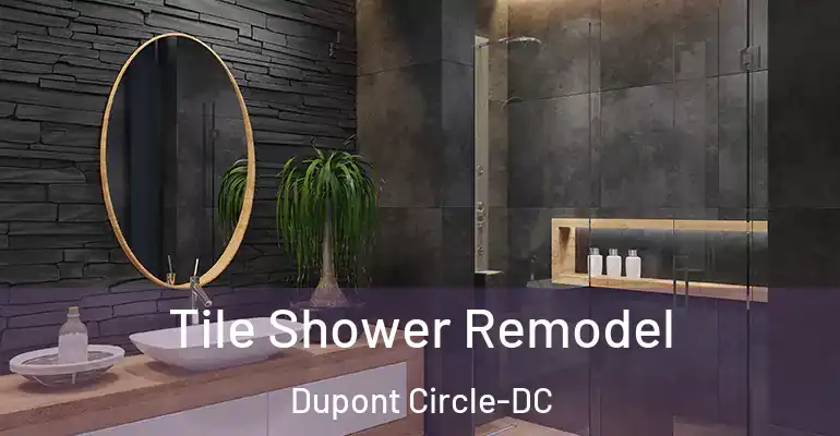 inner Bathroom imggen Tile Shower Remodel Dupont Circle-DC