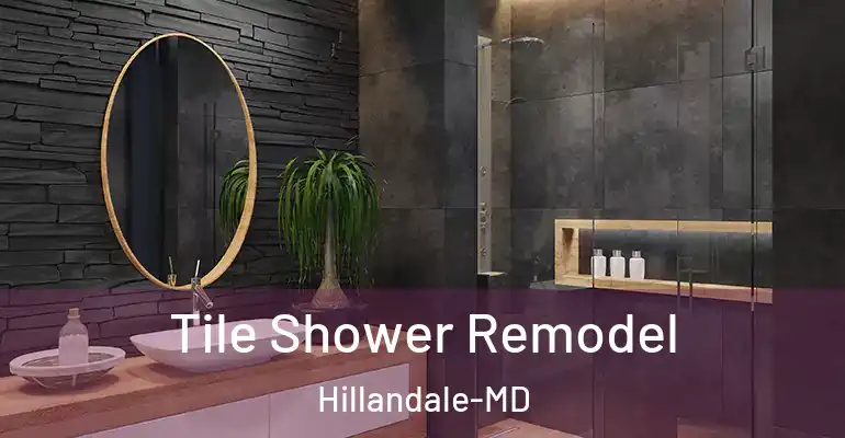 inner Bathroom imggen Tile Shower Remodel Hillandale-MD