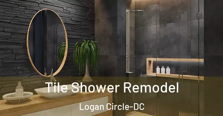 inner Bathroom imggen Tile Shower Remodel Logan Circle-DC
