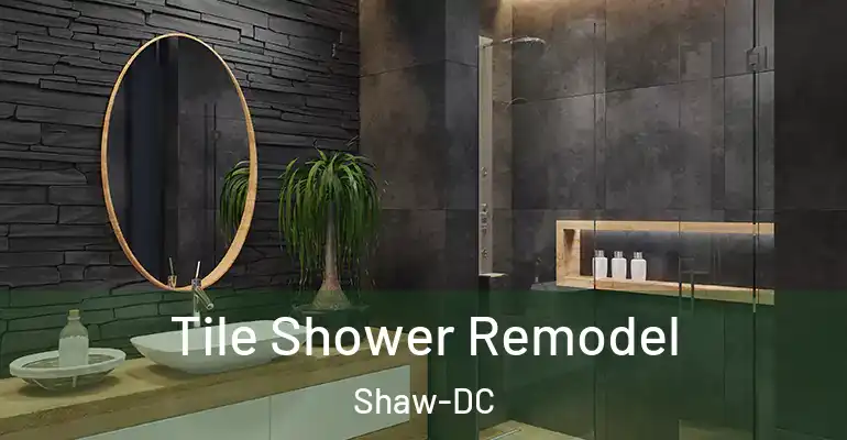 inner Bathroom imggen Tile Shower Remodel Shaw-DC