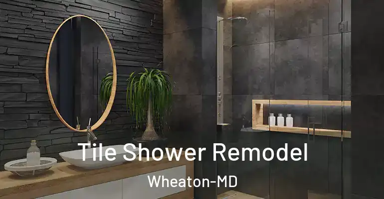 inner Bathroom imggen Tile Shower Remodel Wheaton-MD