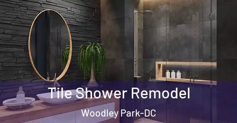 inner Bathroom imggen Tile Shower Remodel Woodley Park-DC