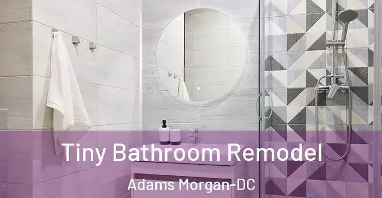 inner Bathroom imggen Tiny Bathroom Remodel Adams Morgan-DC