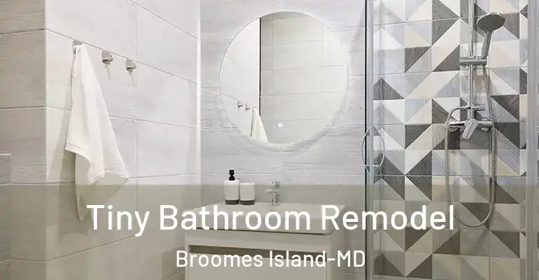inner Bathroom imggen Tiny Bathroom Remodel Broomes Island-MD