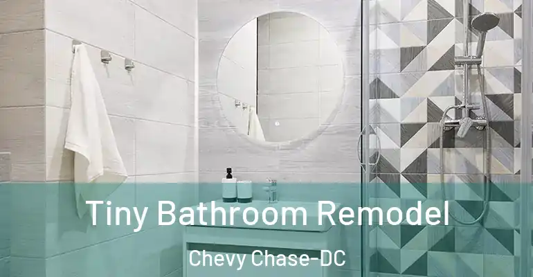 inner Bathroom imggen Tiny Bathroom Remodel Chevy Chase-DC
