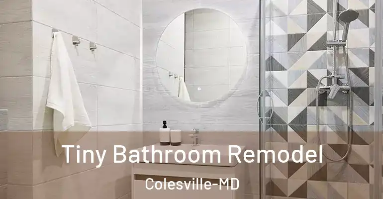 inner Bathroom imggen Tiny Bathroom Remodel Colesville-MD