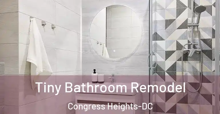 inner Bathroom imggen Tiny Bathroom Remodel Congress Heights-DC